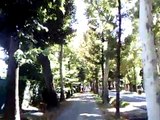 Cuneo to South France MTB cycling Rocky Mountain Switch downhill