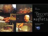 Magnetism - Howard Johnson - Roy Davis and Rawls - Bloch Wall - Magnetic Vortex