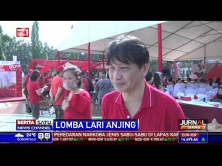 Ratusan Anjing Meriahkan Alpo Dog Run 2015