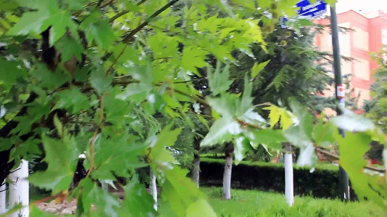 bahar bitmedi