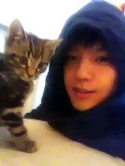 Korean boy kissing a cat