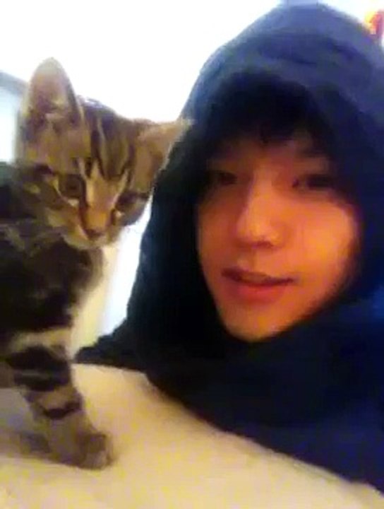 Korean boy kissing a cat