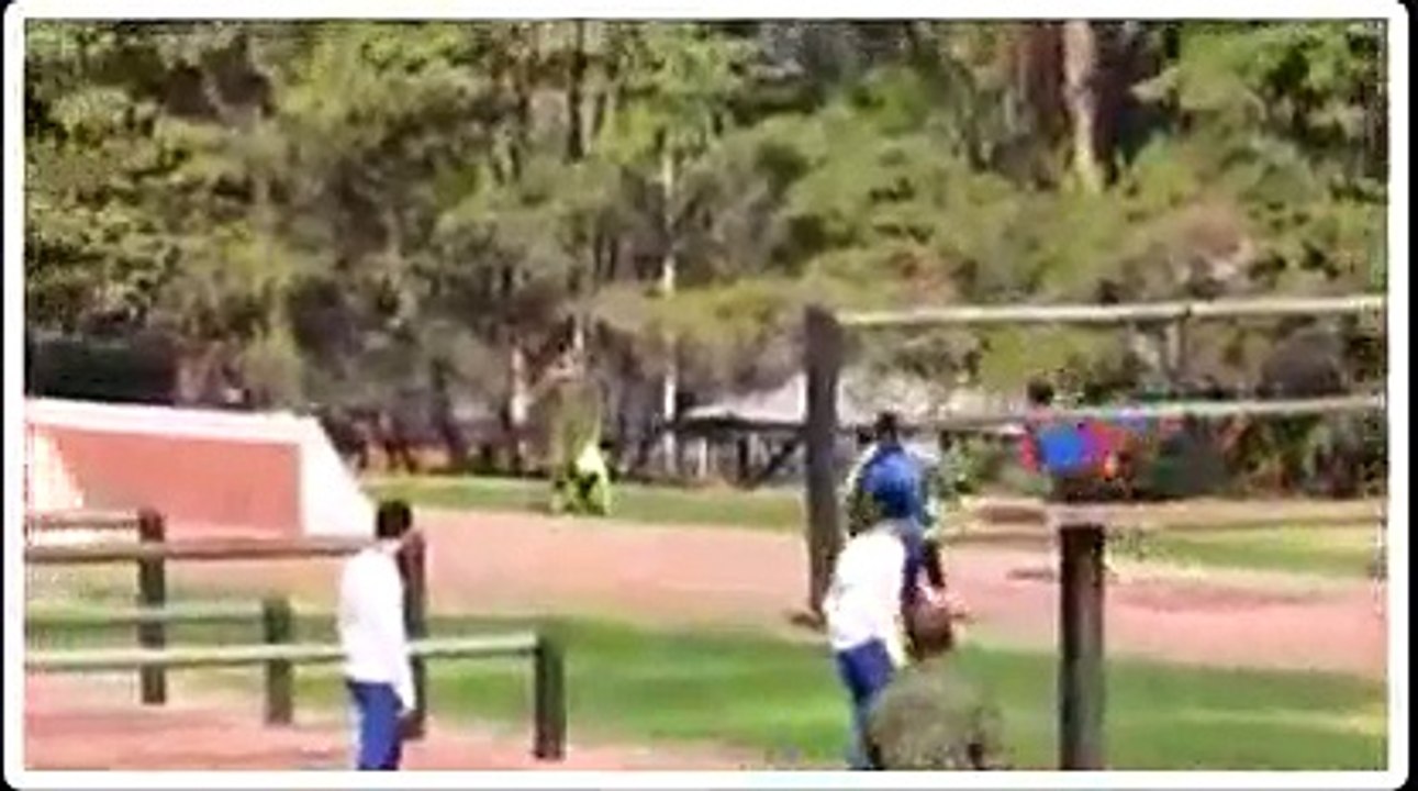 What An Amazing Obstacle Race in CHILE! (HD)