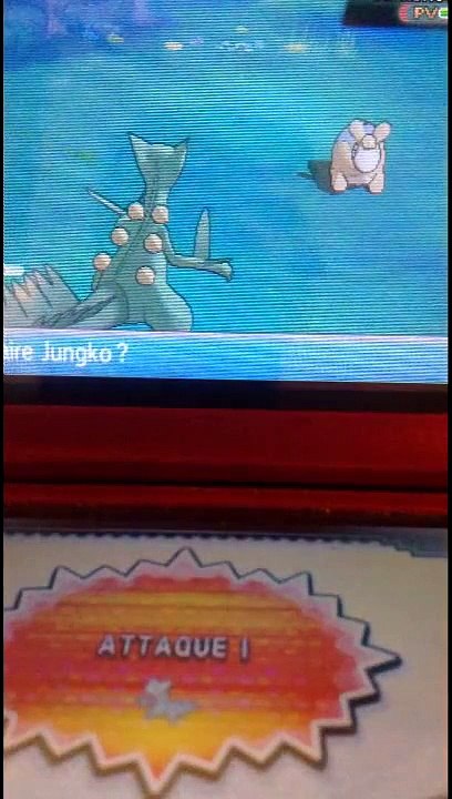 Pokemon Ruby Omega - Numel Shiny (Route 112) (FR)