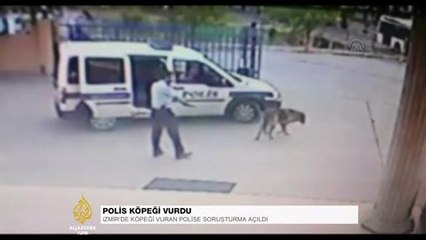 Köpeği vuran polise soruşturma