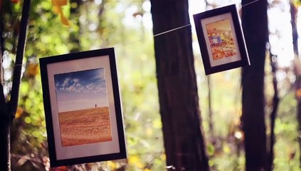 After Effects Project Files - Photo Gallery On Sunny Autumn Woods - VideoHive 9493369