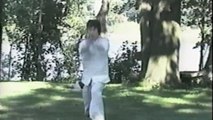 Choy Li Fut - Sup Ji Jit Fu Kuen - Grandmaster Doc-Fai Wong - 1985