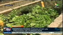 Agricultura urbana en Ciudad de México