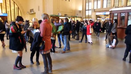 Freeze Flash Mob in Helsinki @RailwayStation