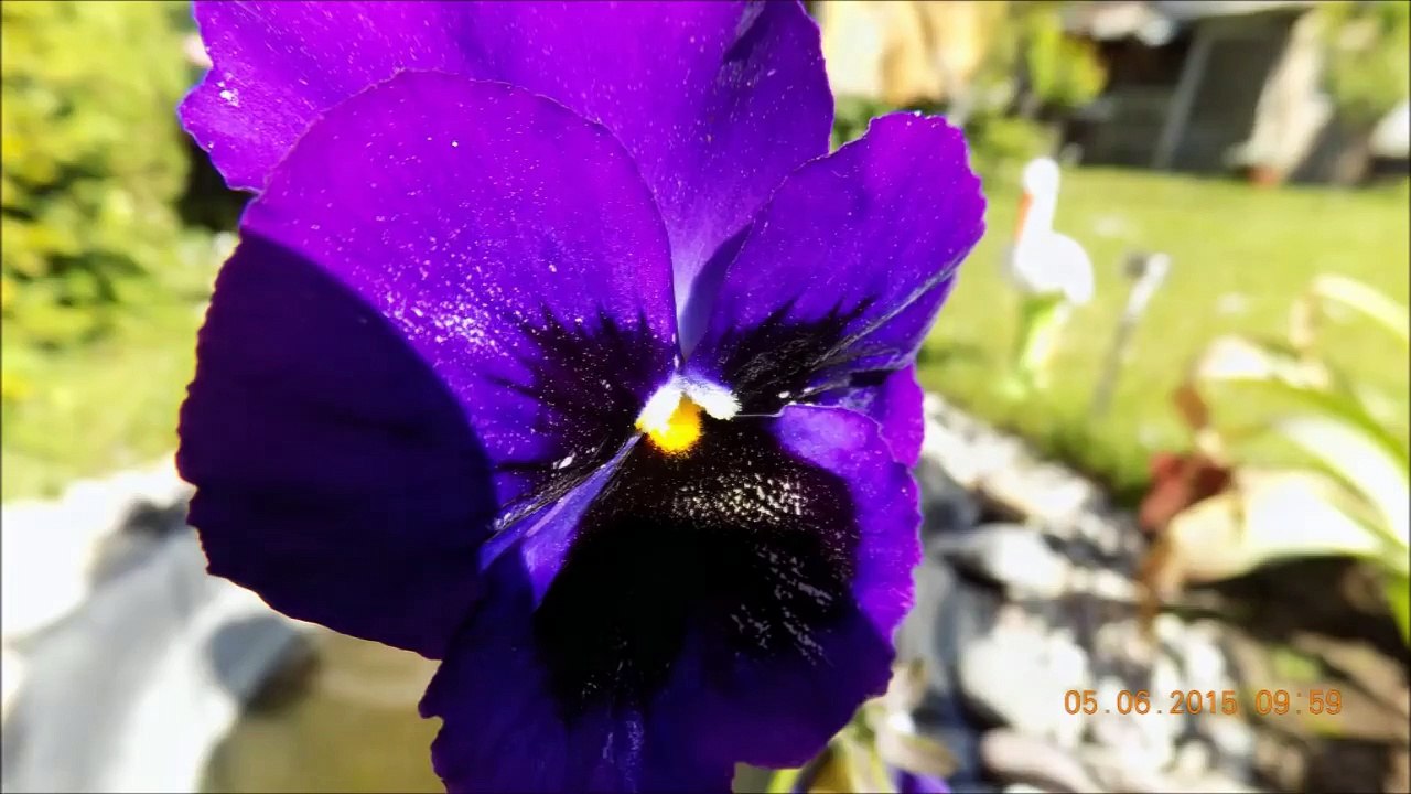 Nikon Coolpix L340 Digital Camera Review Photos and Video