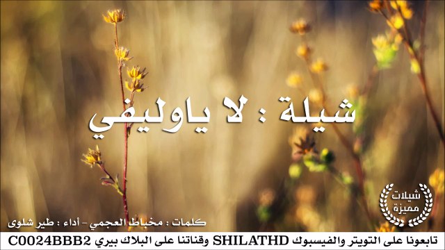 شيلة : لا ياوليفي - أداء طير شلوى | أصلي + مسرع | شيلات 2015