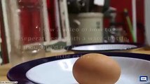 Separating 5 Egg Yolks With A Water Bottle