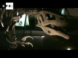 Los grandes dinosaurios de la Patagonia argentina llegan a Belgrado .