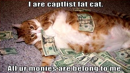 Funny cat videos for kids cat song HD