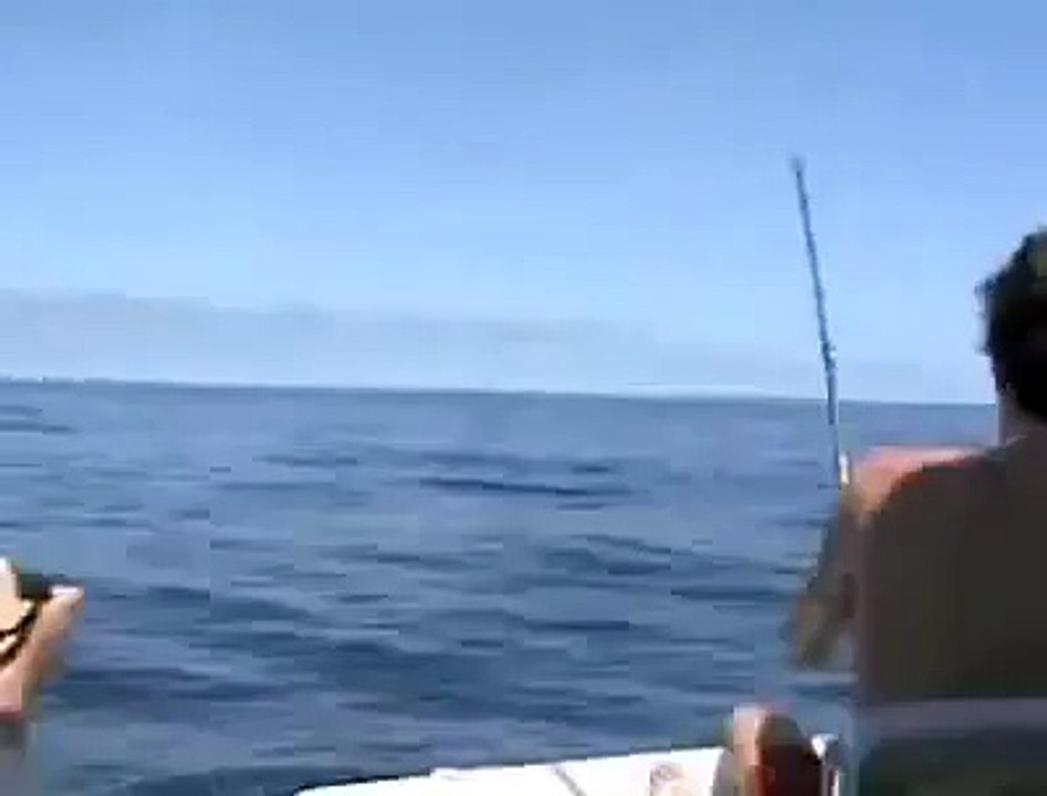 Attaque du poisson Scie