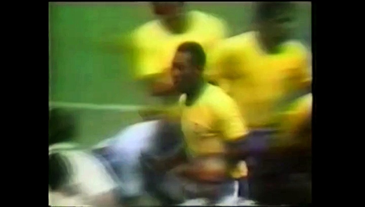 Brasil vs. Paraguay: el Cuy Yimi jura que no fallará con su pronóstico