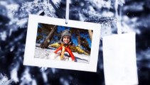 After Effects Project Files - Photo Gallery On The Spruce Winter - VideoHive 8936211