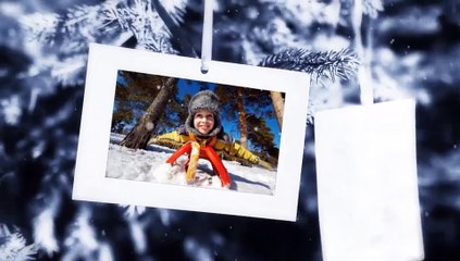After Effects Project Files - Photo Gallery On The Spruce Winter - VideoHive 8936211