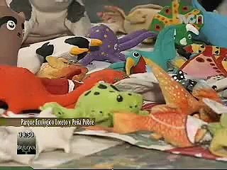 Familia adopta gorila - Desde el Parque Ecológico Loreto y Peña Pobre