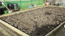 Allotment Diary Feb 12th : Early Soil Preparation with a hand tiller / cultivator