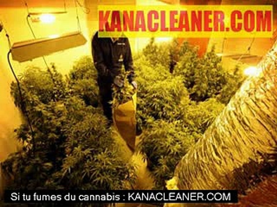 Cannabis Toulouse A61 : Go fast intercepte