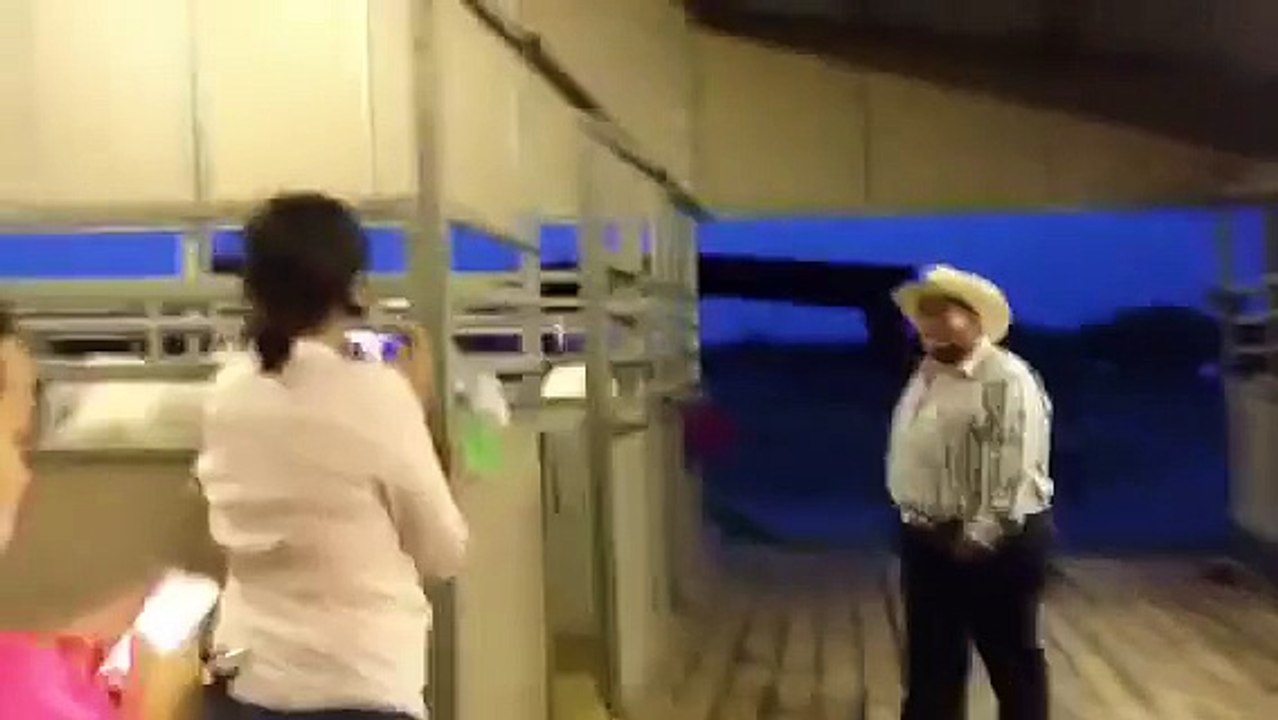 male horses going crazy for that one female horse