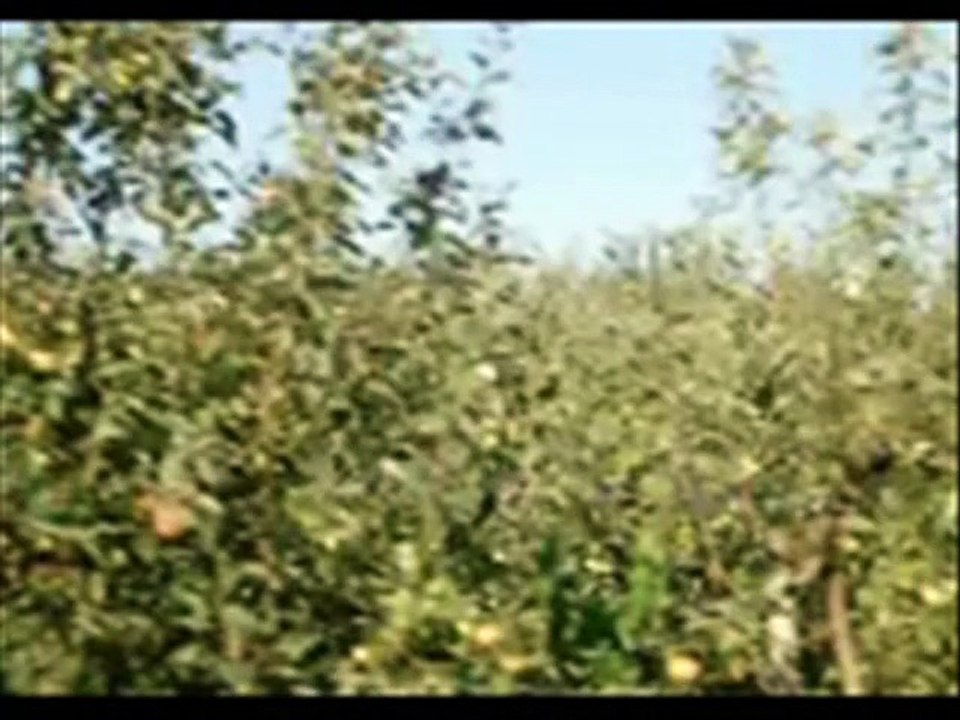 SONČNA POT - Na poti (1979)