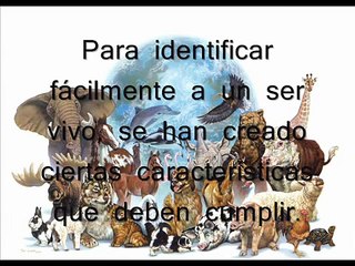 Principales caracteristicas de los seres vivos