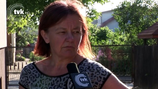 GOŁĄB POCZTOWY - interwencja HD