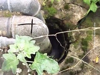 Sa e romange (Vesti na romskom jeziku), 27. jun 2015. (RTV Bor)