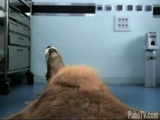 Pub Caisse d'Epargne