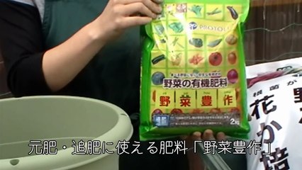 鉢・プランターを使ったナスの育て方