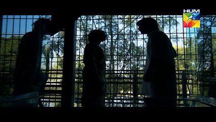 Alvida Episode 18 Full HUM TV Drama 10 June 2015