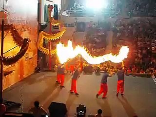 2008 Vietnam Internationl Lion Dance Championship Dragon Dance