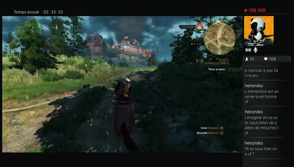 2015-06-14 Live The Witcher III part 6