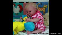 Reborn Baby Dolls by Nikki Holland - Picture Show 4