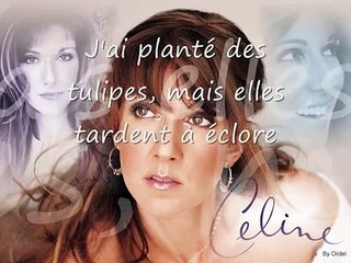 Céline Dion - Je t'aime encore