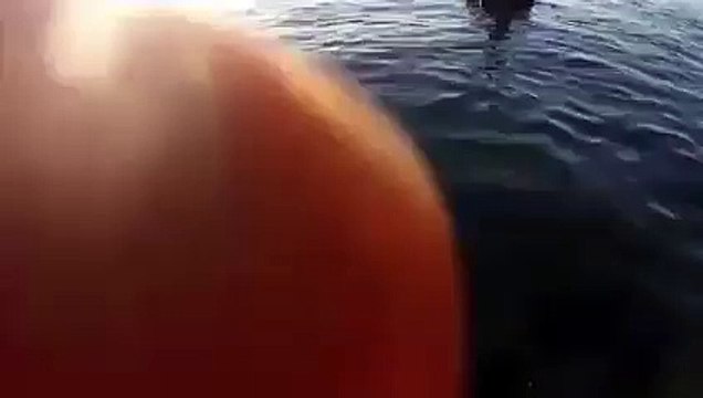 فيديو توضيحي يبين مكان تواجد الهاتف الذي القاه الارهابي في البحر