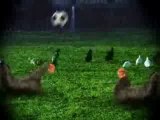 Pro évolution soccer poules