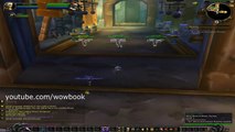 World Of Warcraft Quests - Decontamination