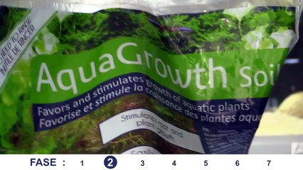 Iniziare un acquario (acqua dolce) con Prodibio