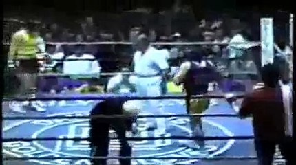 quickest knockout in golden gloves history
