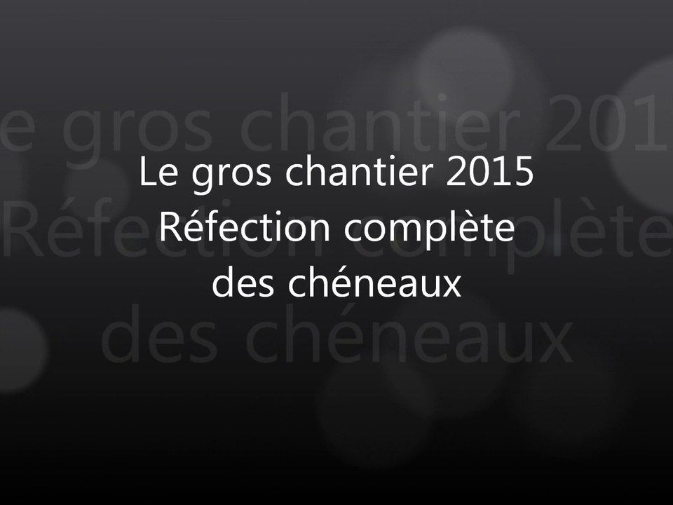 AEP Châteaurenaud - Chantier chéneaux 25 juin 2015