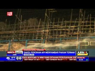 Kapal Bermuatan Ratusan Sapi Dievakuasi ke Pelabuhan Kupang