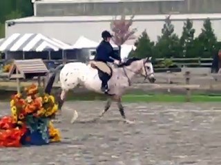 thunderbird show park 2'6 hunters kiah and dakota
