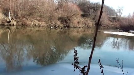 Pescuit la clean iarna pe riul VEDEA