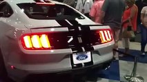 2016 Ford Mustang Shelby GT350 Cold Start and Rev