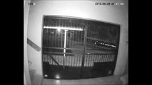 Two caught on camera stealing from Isando business