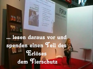 Katzen, Tierschutz und Chill-Out - Neugierig? Dann schaltet uns ein!