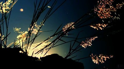 Ottmar Liebert - Santa Fe